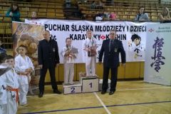 WP_20150517_009