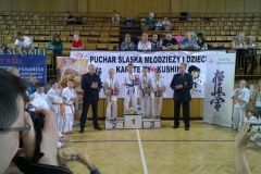 WP_20150517_17_05_48_Pro