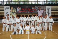 IMG-main