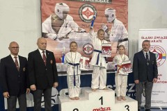 a29b3594-50e7-4b50-8205-3f822bfed403